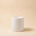 Griffin Planter - Vessela