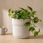 Truco Planter - Vessela