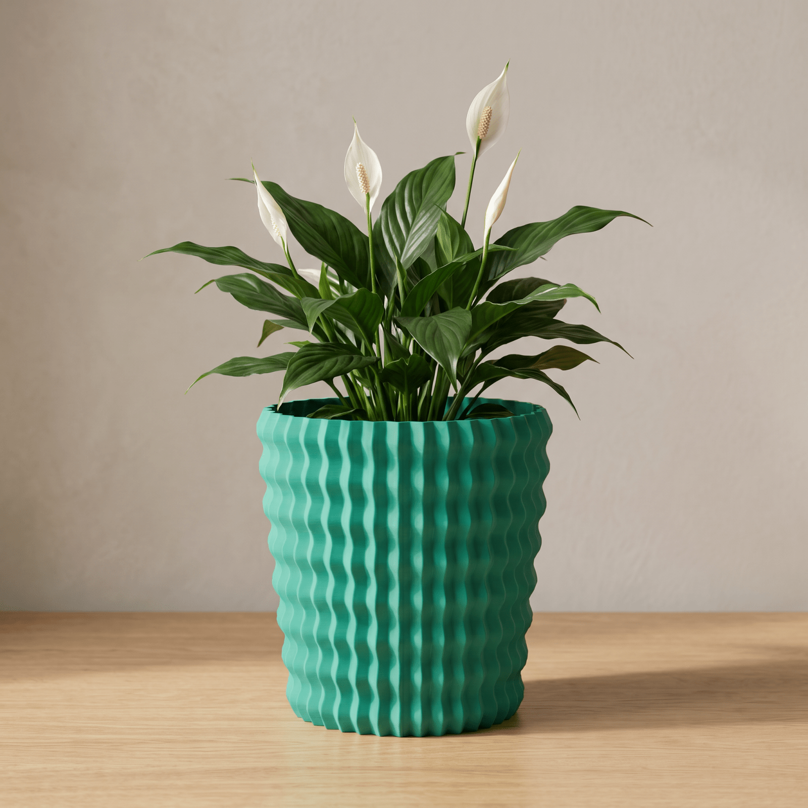 Pina Planter - Vessela