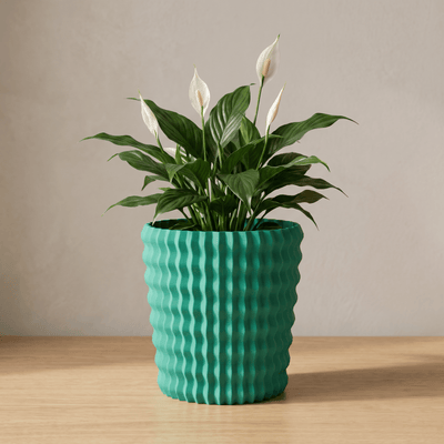 Pina Planter