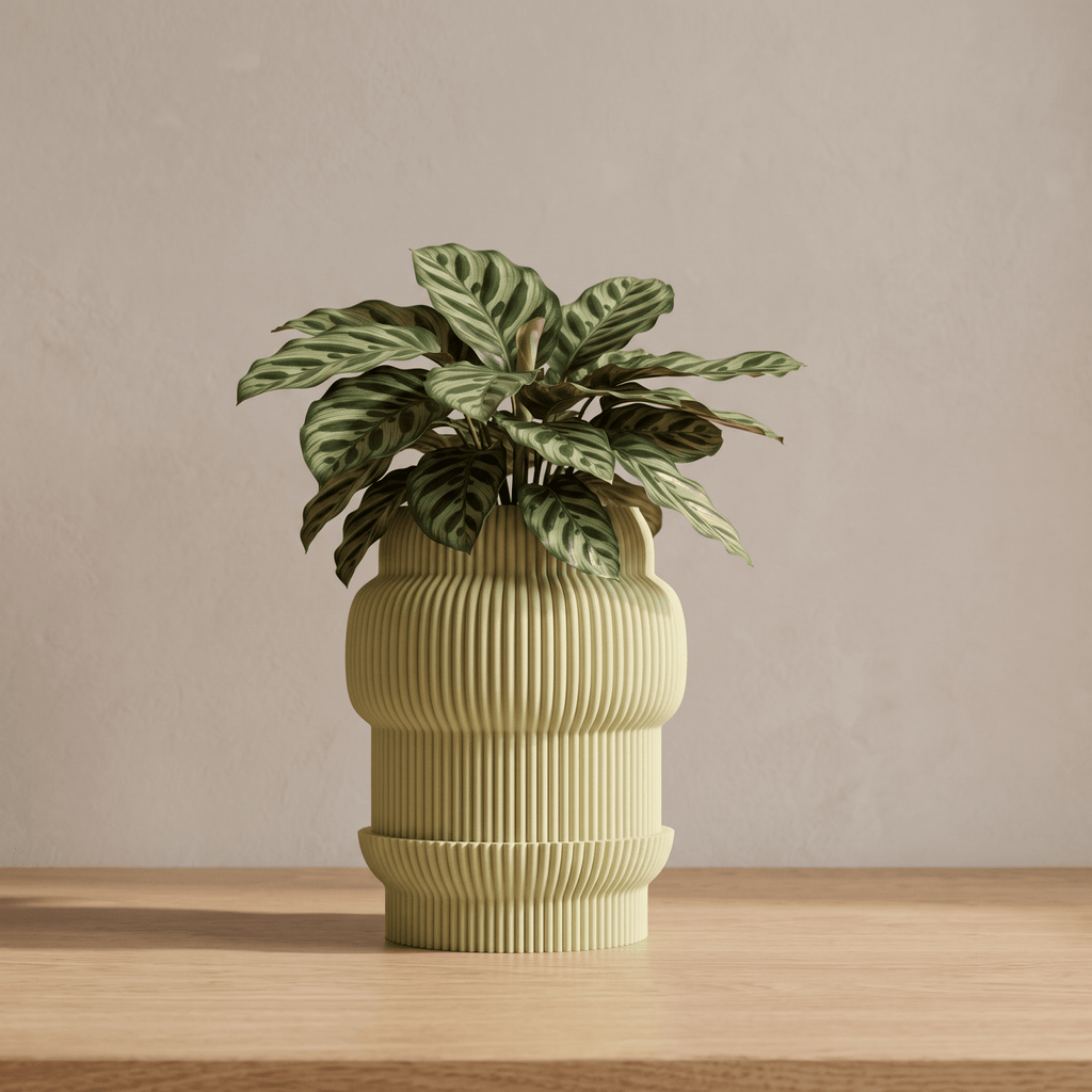 Capri Plant Pot - Vessela