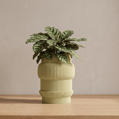 Capri Plant Pot