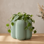 Caribe Planter - Vessela