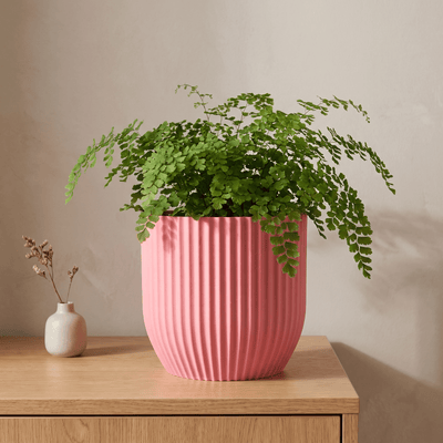 Rilla Planter