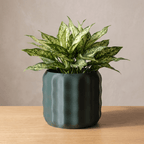 Luma Planter - Vessela