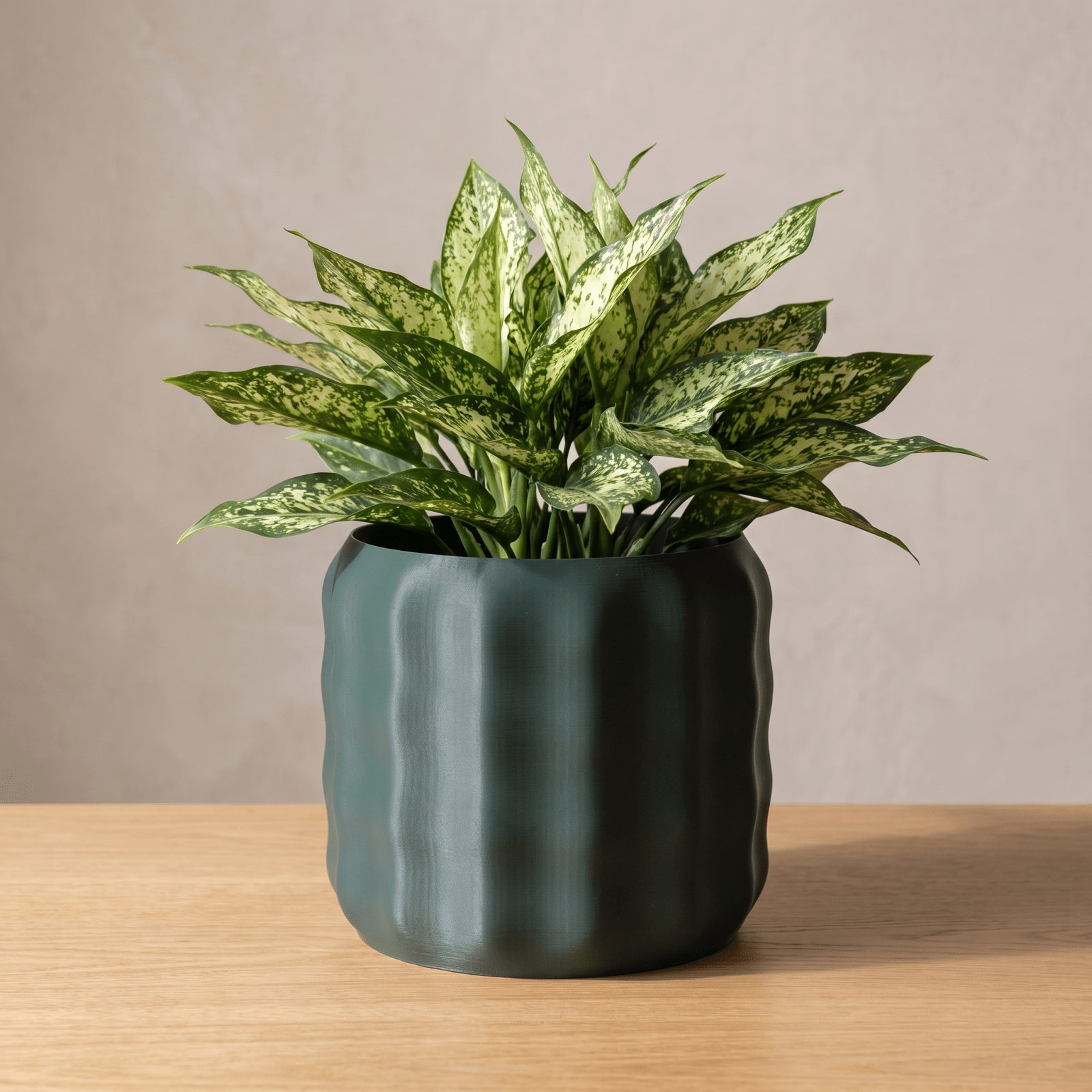 Luma Planter - Vessela