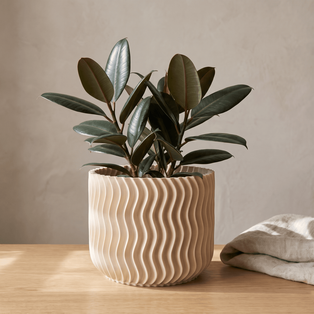 Vallo Planter - Vessela