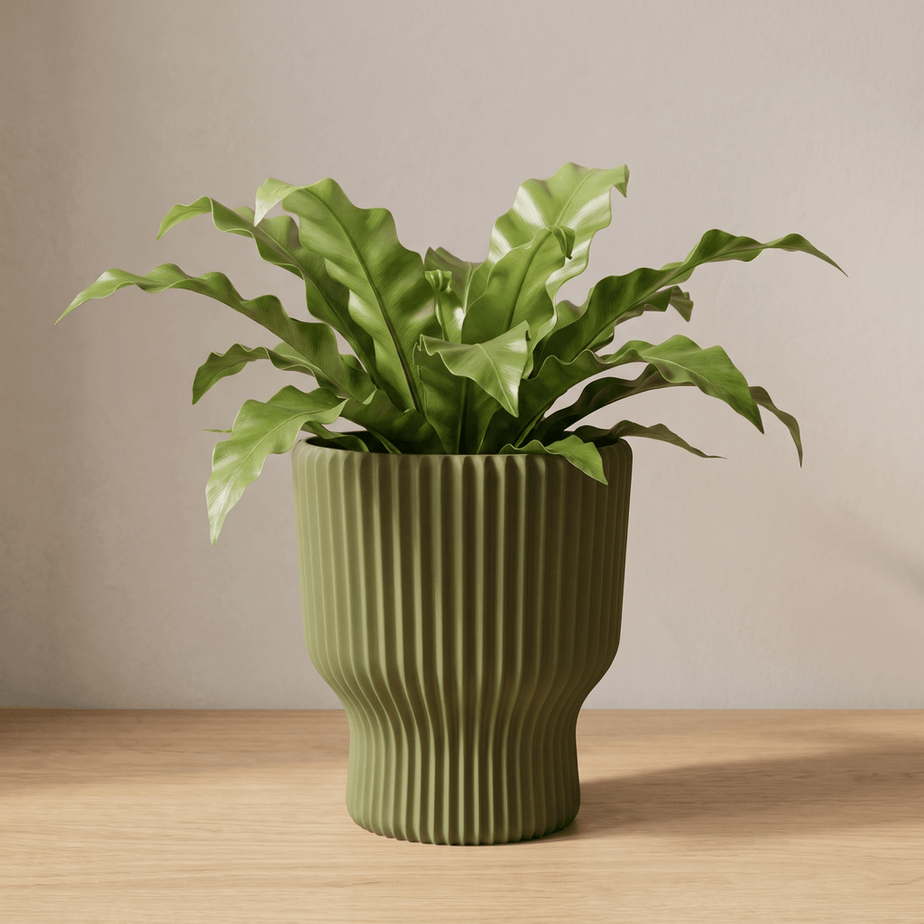 Elora Planter - Vessela