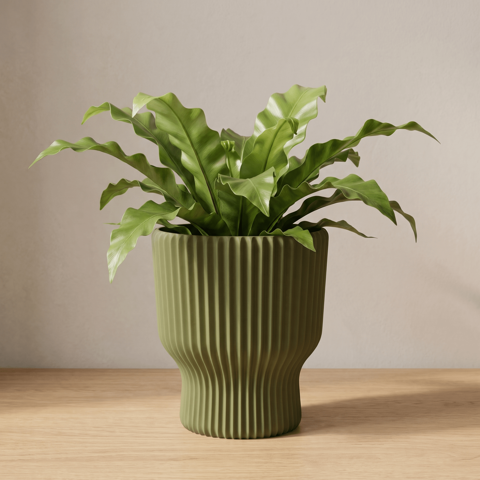 Elora Planter - Vessela