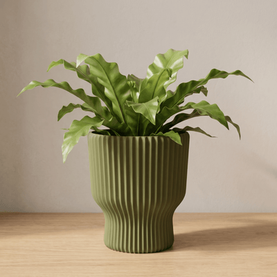 Elora Planter