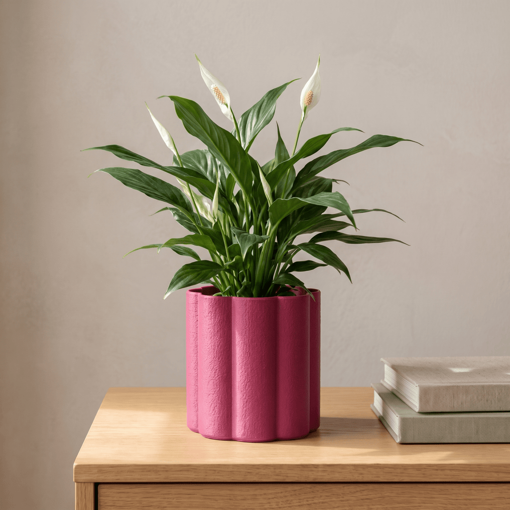 Flora Planter - Vessela