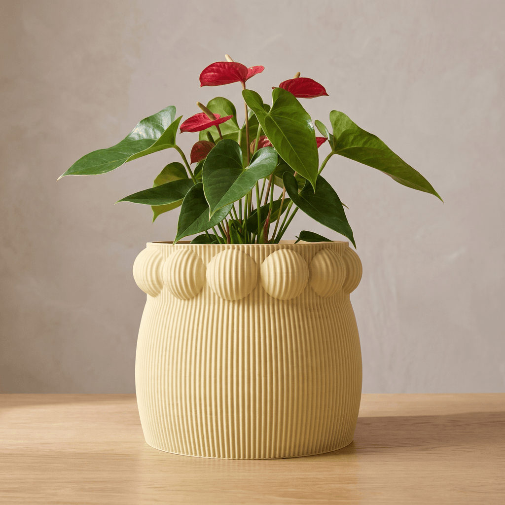 Pete Planter - Vessela