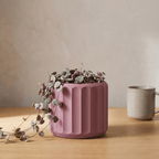 Cressa Planter - Vessela
