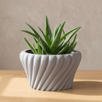 Solis Planter - Vessela