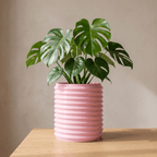 Orin Planter - Vessela