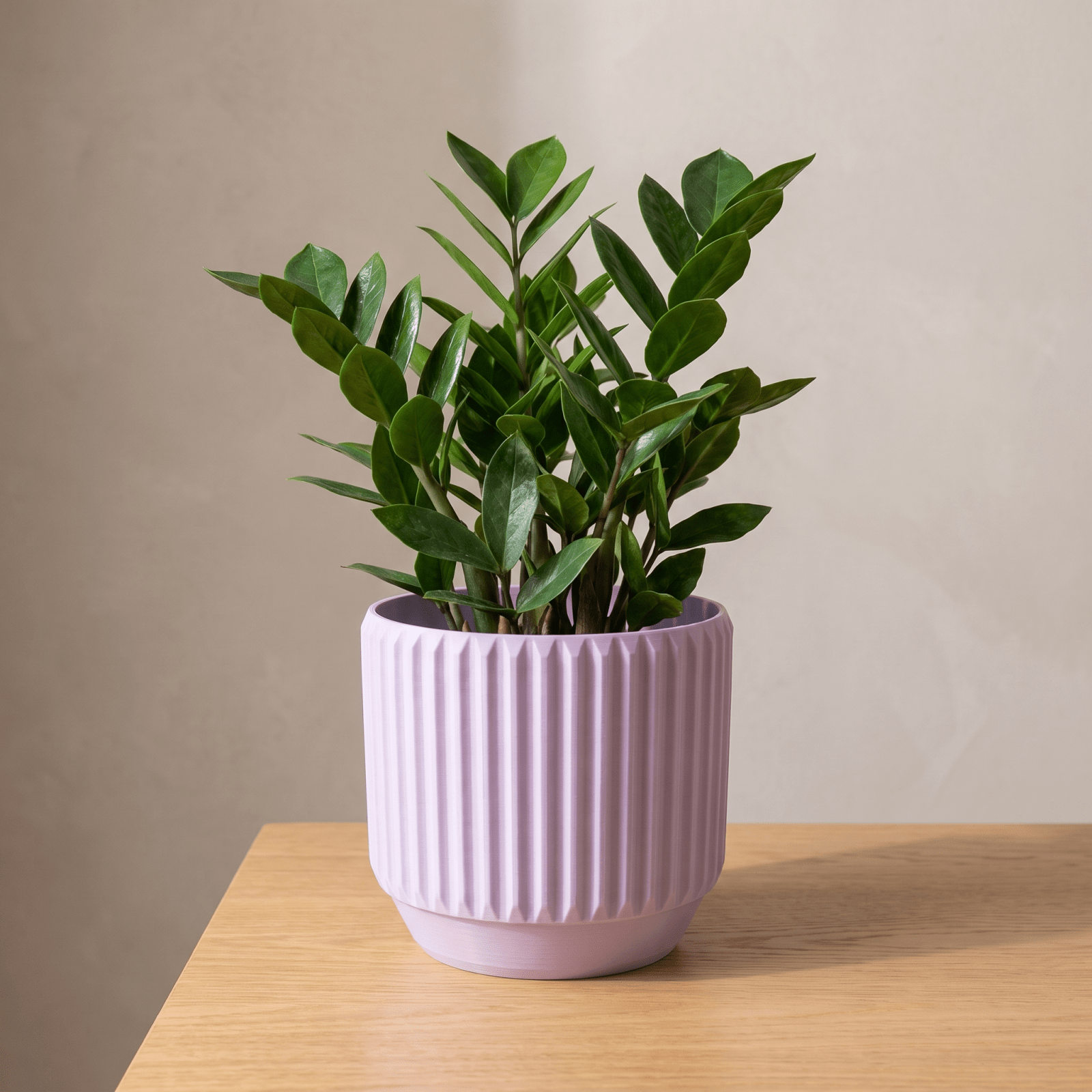 Astra Planter - Vessela