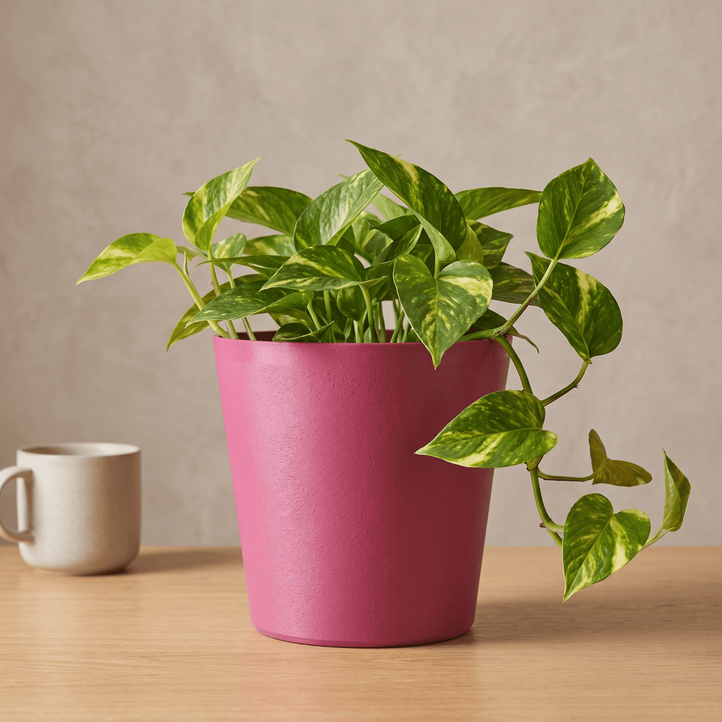 Noa Planter - Vessela
