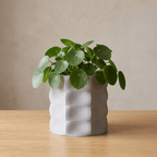 Veyla Planter - Vessela