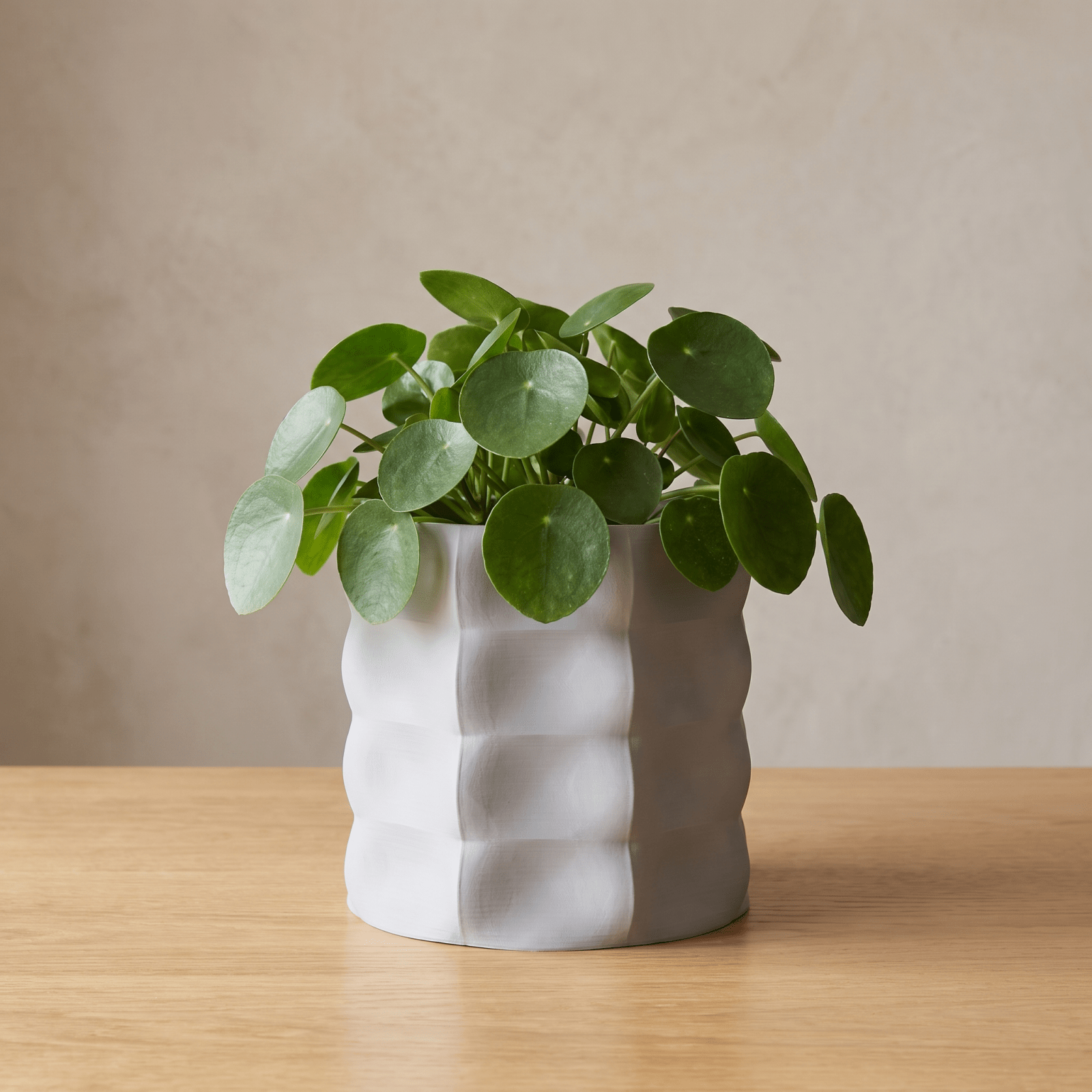 Veyla Planter - Vessela
