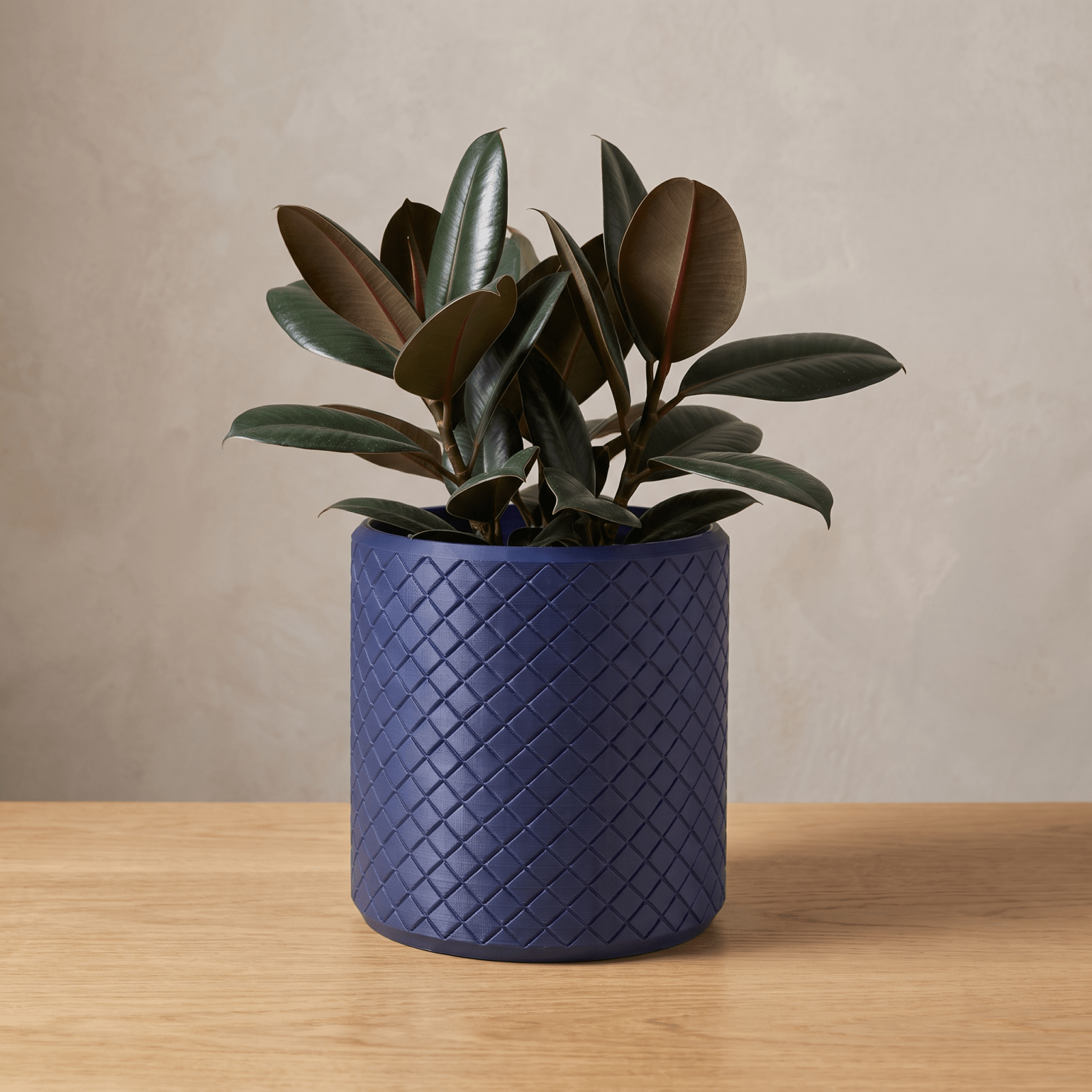 Griffin Planter - Vessela