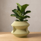 Uoola Planter - Vessela