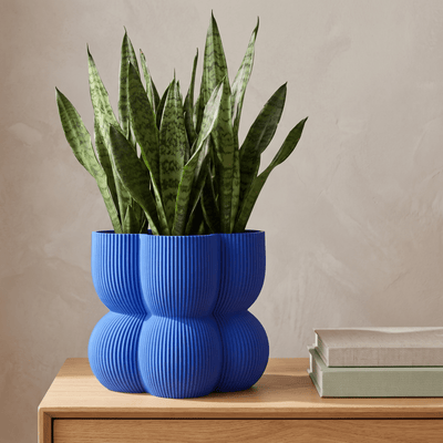 Caribe N°2 Planter