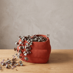 My Love Planter - Vessela