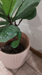 Self Watering Spike - Effortless Deep Root Hydration