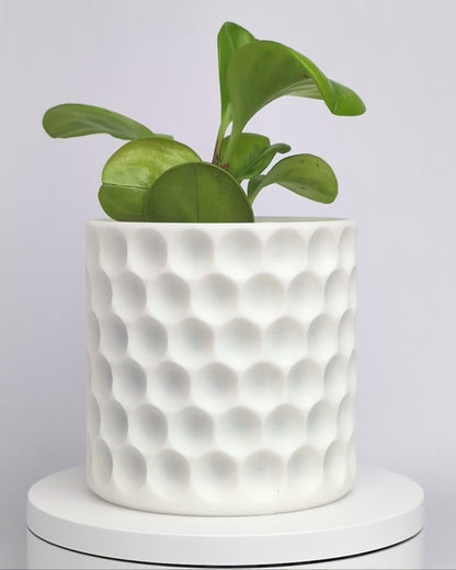 Hive Planter