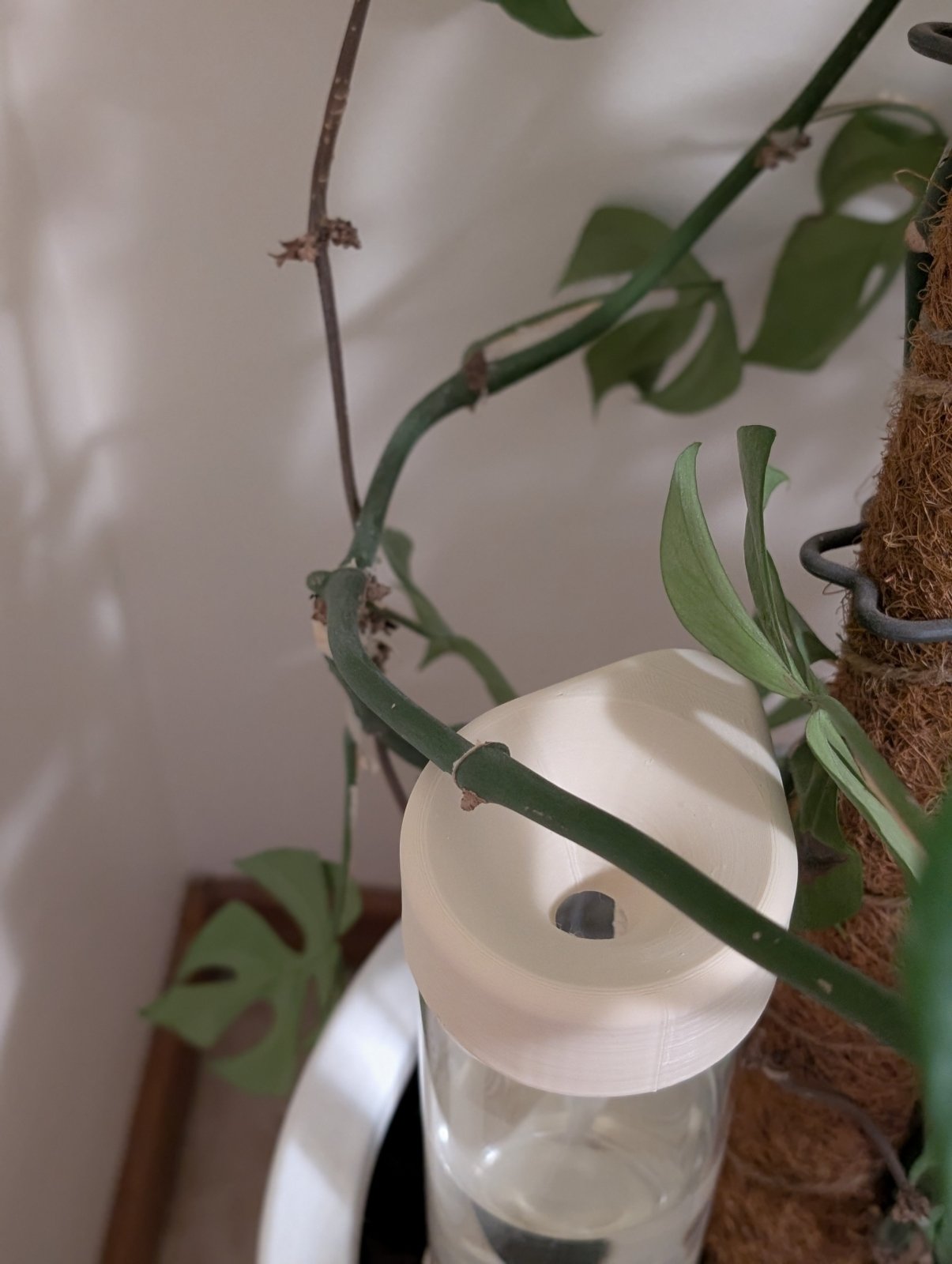 Self Watering Spike - Vessela