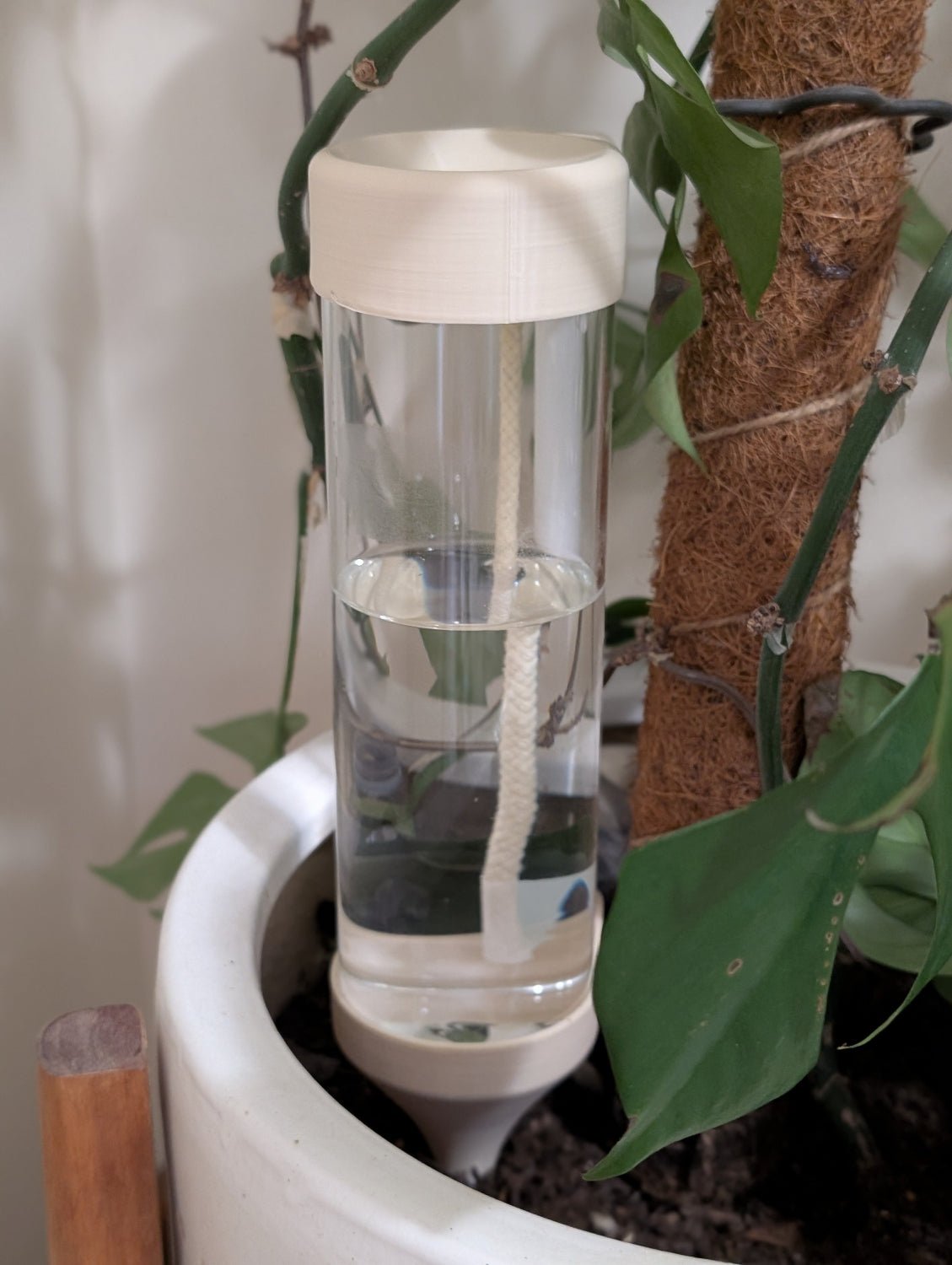 Self Watering Spike - Vessela