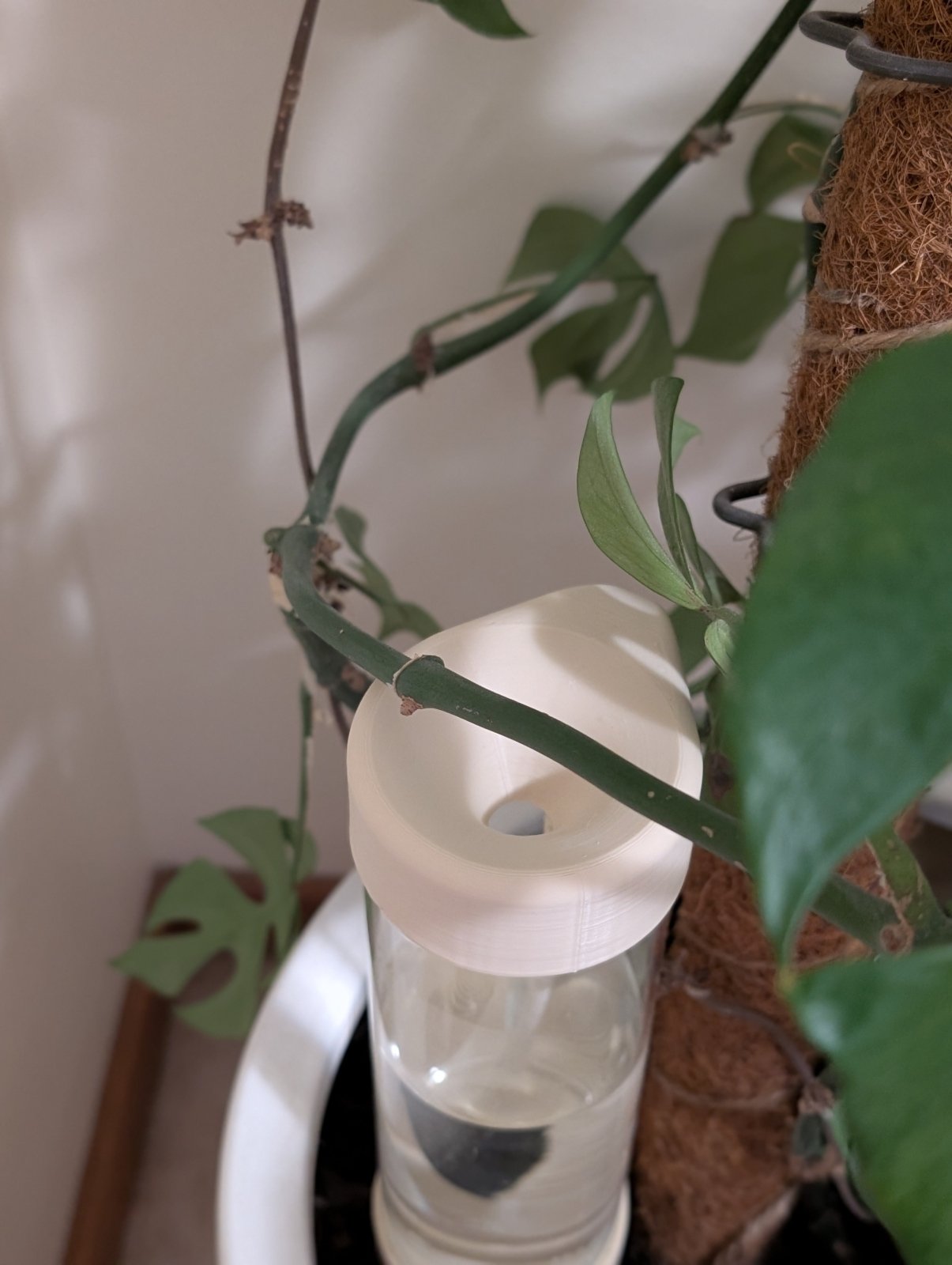 Self Watering Spike - Vessela