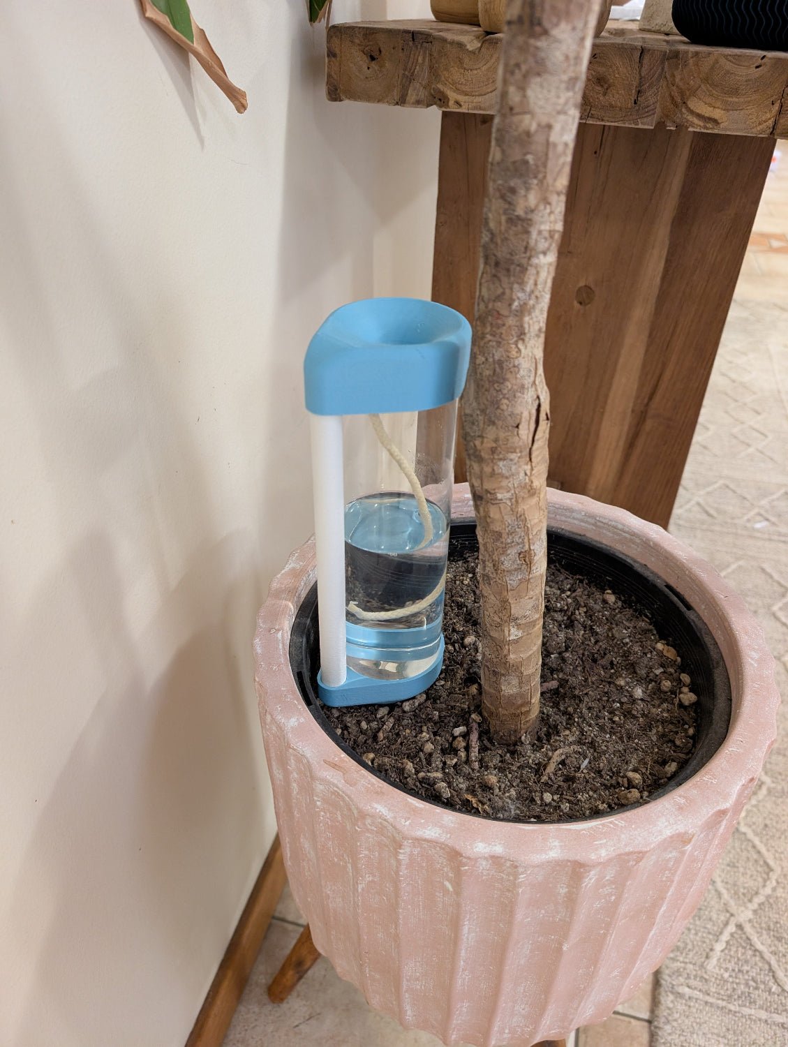 Self Watering Spike - Vessela