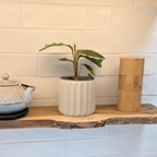 Big Cressa Planter - Vessela