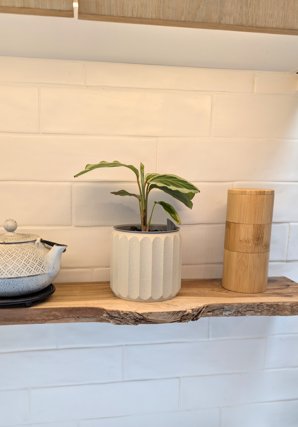 Cressa Planter