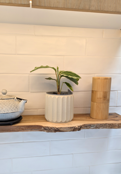 Cressa Planter