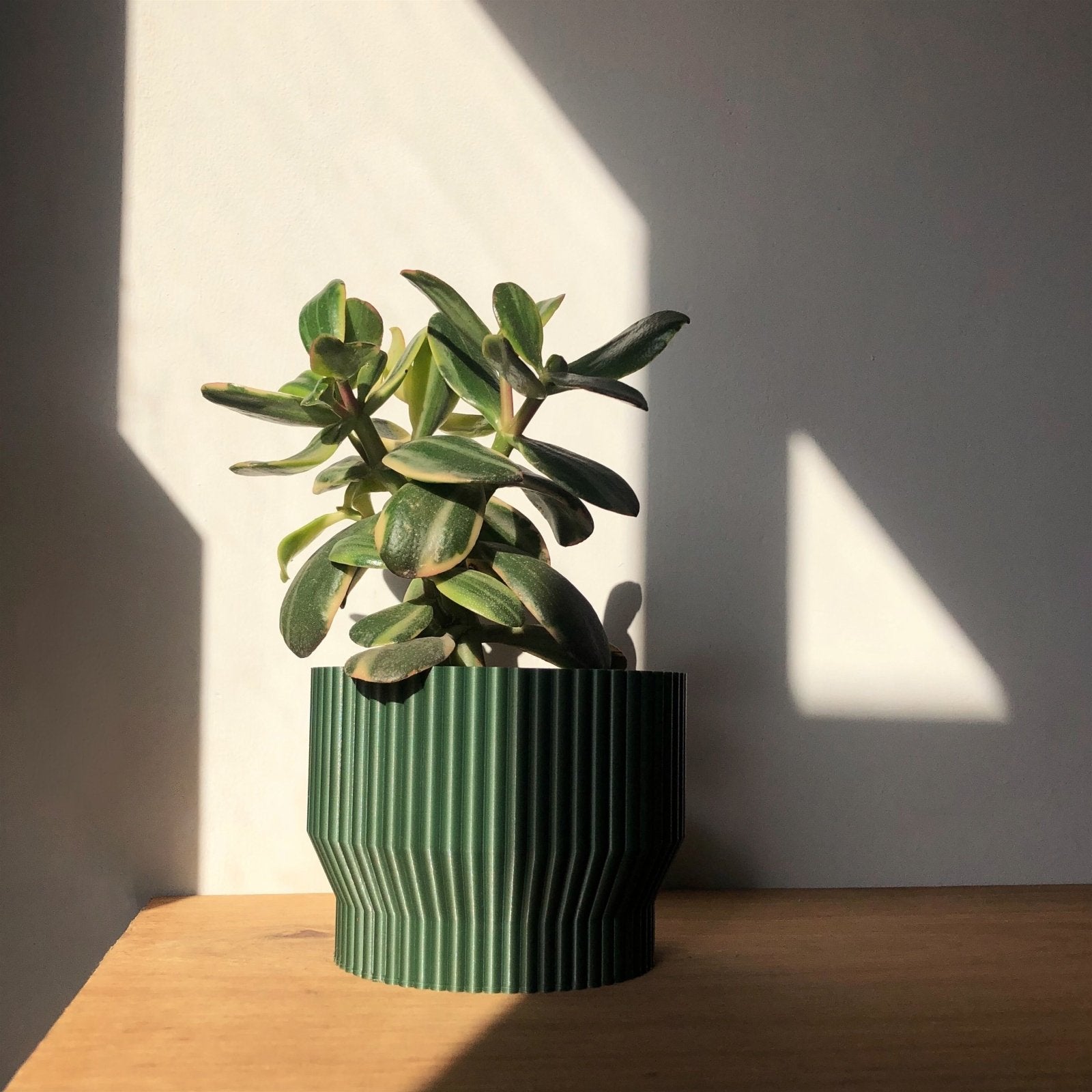 Niza Planter - Vessela