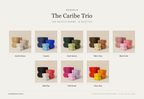 The Caribe Trio — Nesting Planter Set (Set of 3) palette range